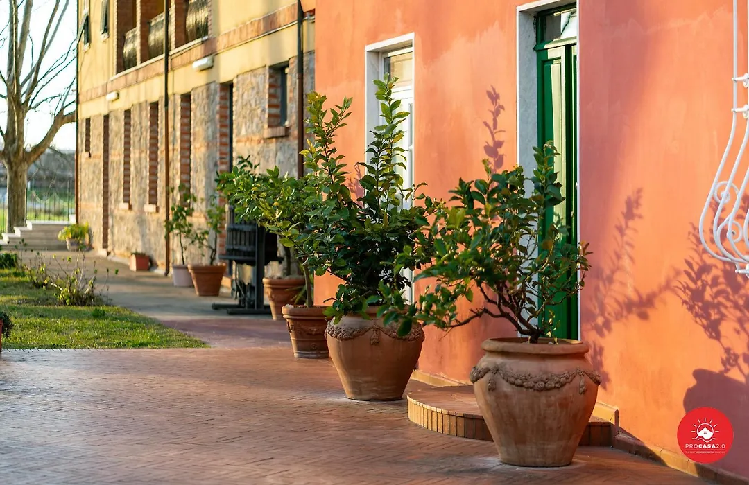 Fattoria Battilana-1