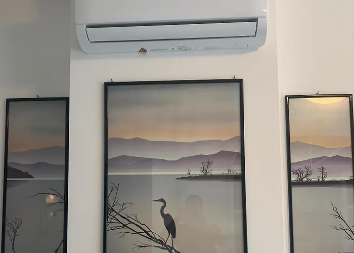 Hotel adatto agli animali: La Conchiglia A Marina